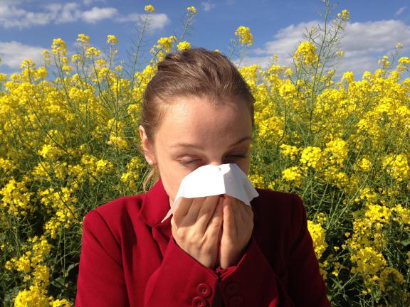 Légúti allergia